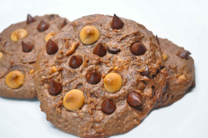 athletic protein caramel cookie