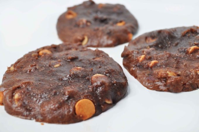 Athletic Protein | PB Chocolate Cookie