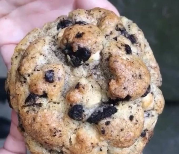 AP Protein Cookies & Cream Cookie